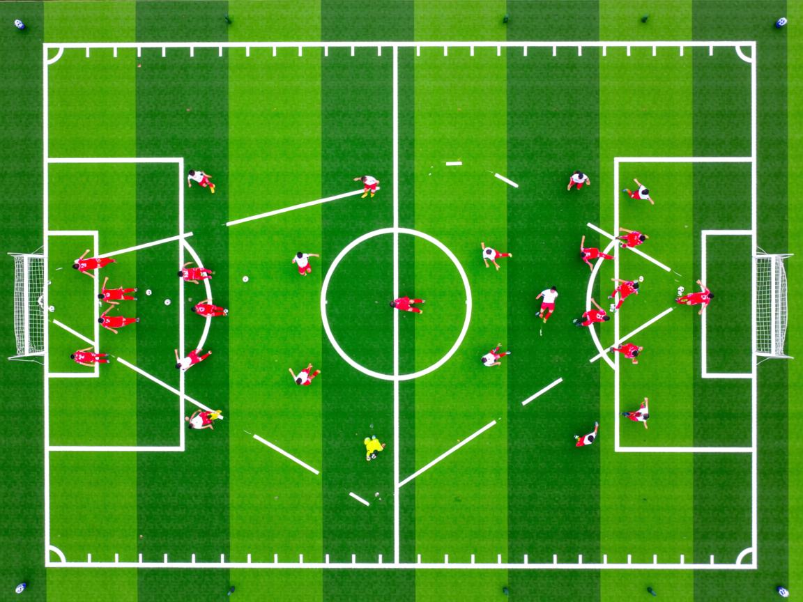 开云体育app-出发反应平均值：美国最具爆发力