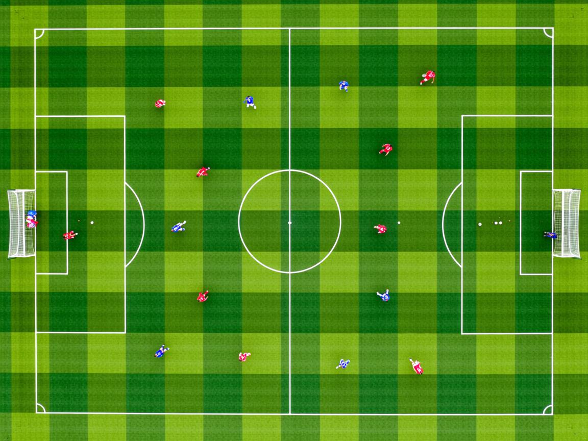 开云体育app-国家队临场应变能力亟待加强,临场应变能力的作用 第3张